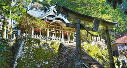 玉置神社